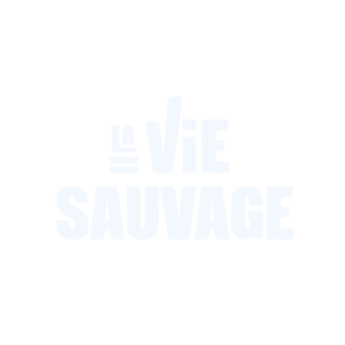 La Vie Sauvage — Randonnée